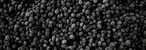 Mahlgutübersicht Schwarze Bohnen