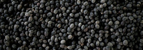 Mahlgutübersicht Schwarze Bohnen