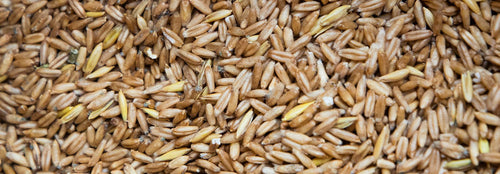 Mahlgutübersicht Dinkel