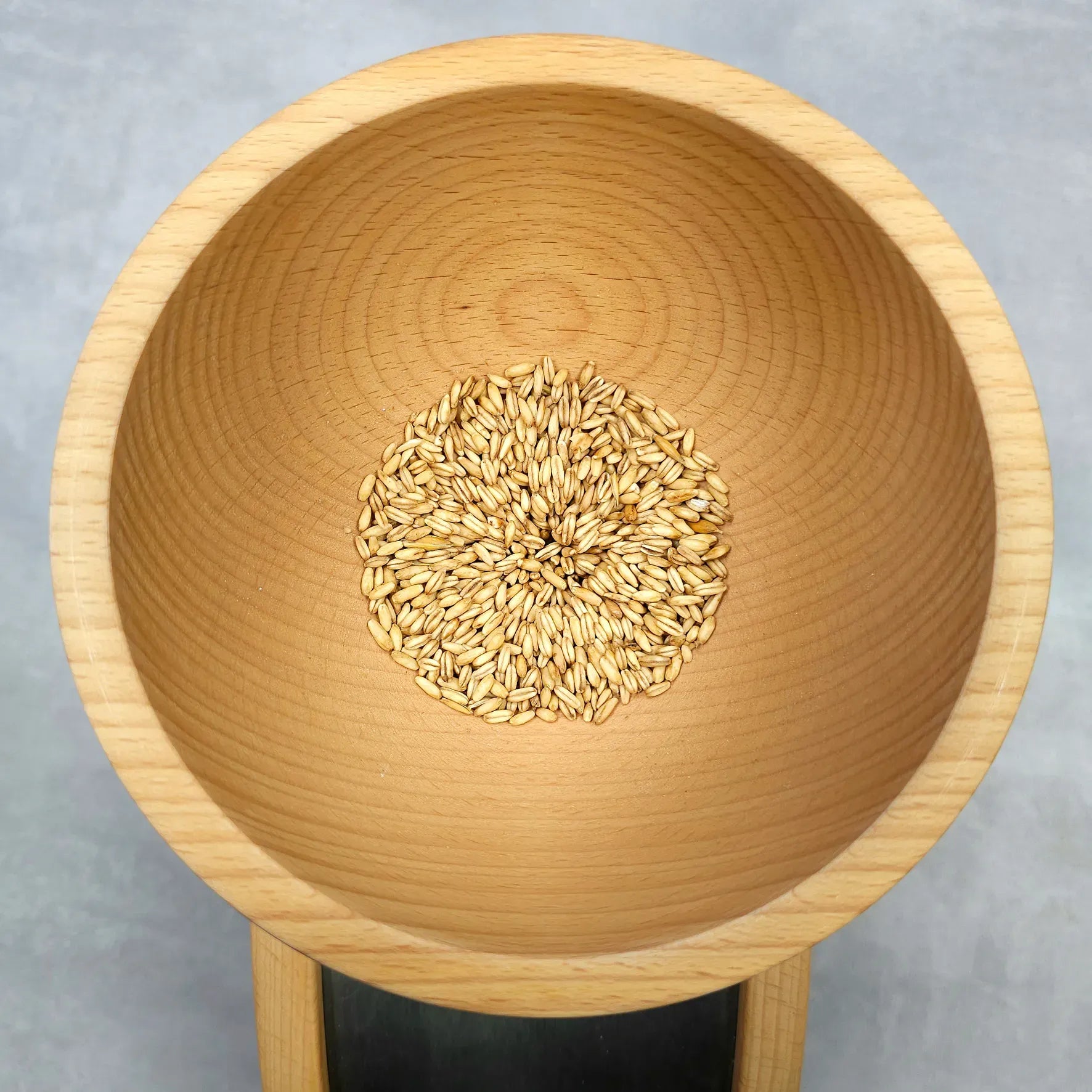 Elektroflocker Flocman